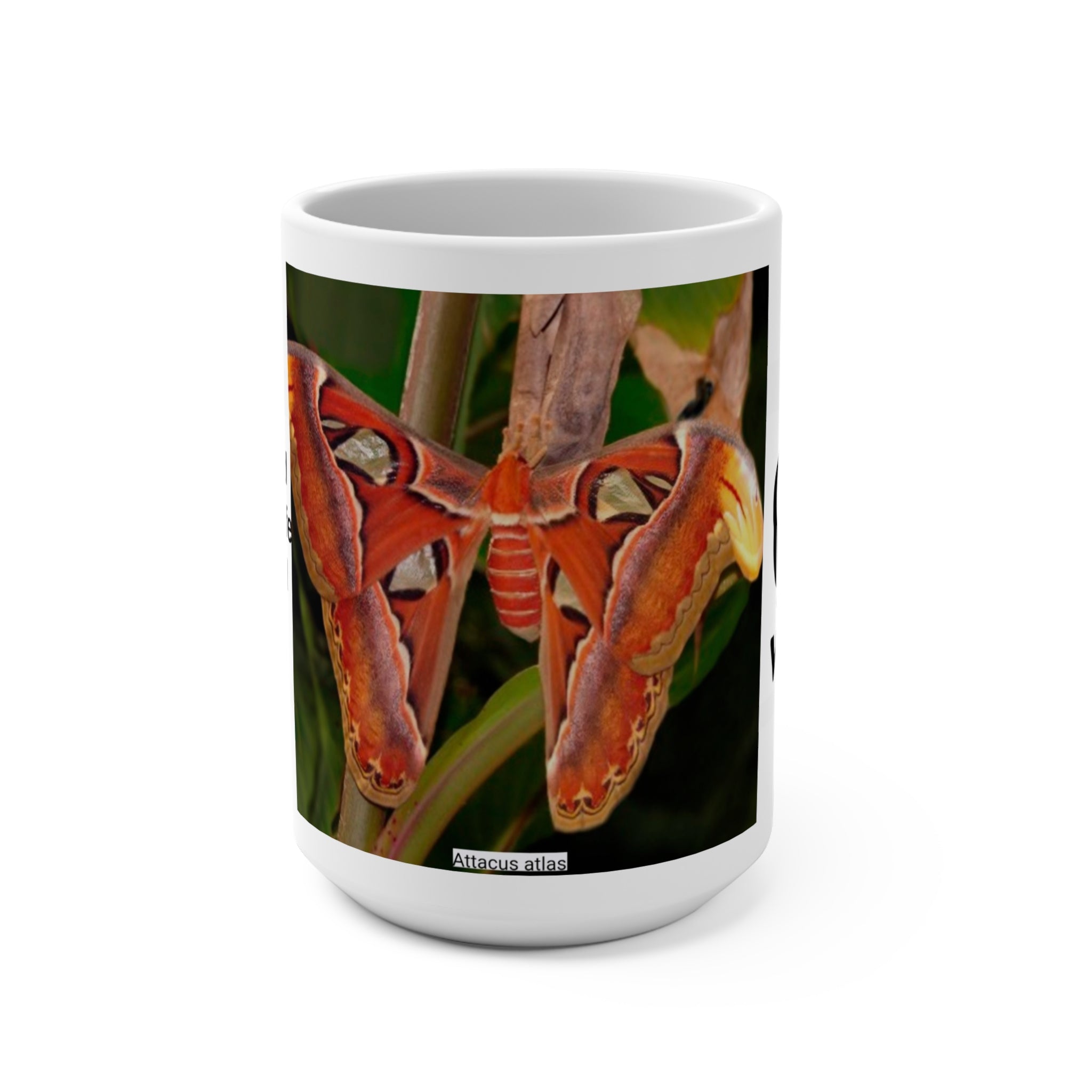 Atlas Moth 15 oz Ceramic Mug — WWF Wildlife Conservation Design