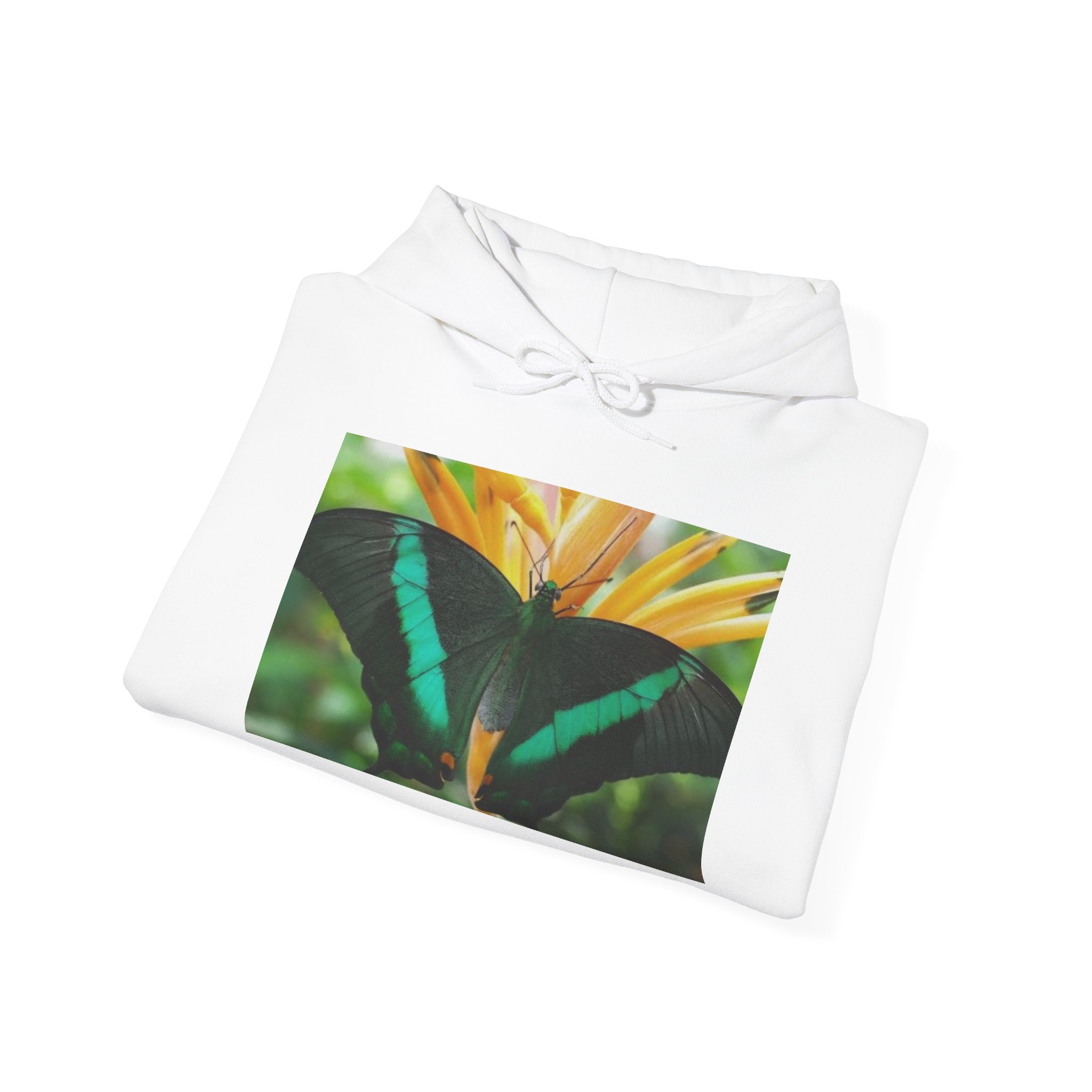 HOODIE NATURE Butterfly Photo Hoodie — Green Swallowtail on Tropical Flower, WWF Logo Eco Hoodie